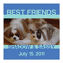 Small Square Pets Friend Labels 2x2