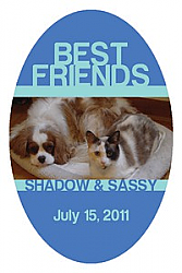 Vertical Oval Pets Friend Labels 2.25x3.5