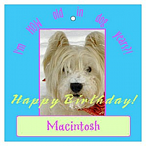 Dog Square Birthday Favor Tag