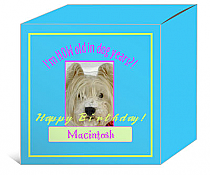 Dog Birthday Small Box