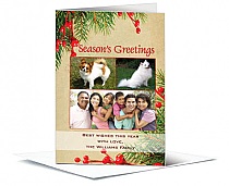 Christmas Seasons Greetings Holiday Mistletoe Cards with multiple photo 5.50" x 7.875" w-envelope