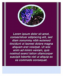 Grapes Vertical Text Rectangle 3.25x4