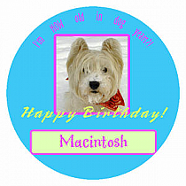 Dog Circle Birthday Coasters