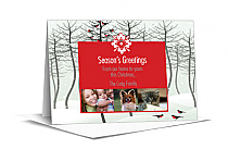 Caroling Christmas Birds Cards with multiple photo 7.875" x 5.50" w-envelope