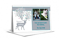 Christmas Reindeer with Large Antlers Cards with photo  7.875" x 5.50" w-envelope