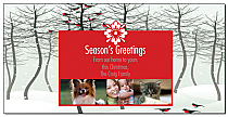 Caroling Christmas Birds Cards with multiple photo 8" x 4" w-envelope